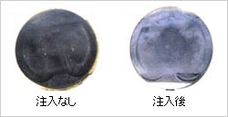 sXgr